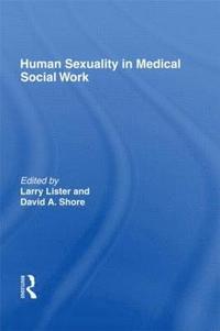 bokomslag Human Sexuality in Medical Social Work