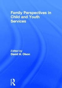 bokomslag Family Perspectives in Child and Youth Services
