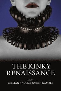 bokomslag The Kinky Renaissance