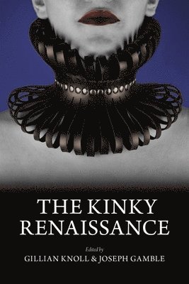 bokomslag Kinky Renaissance