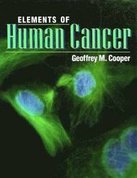 bokomslag Elements Of Human Cancer
