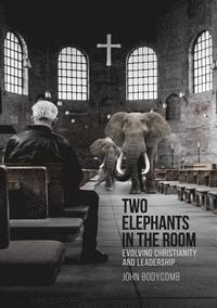 bokomslag Two Elephants in the Room: Evolving Christianity and Leadership