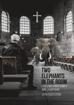 bokomslag Two Elephants in the Room: Evolving Christianity and Leadership