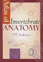 bokomslag Atlas of Invertebrate Anatomy
