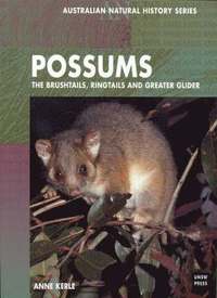 bokomslag Possums of Australia