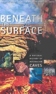 University Of New South Wales, Elery Hamilton-Smith, Brian Finlayson - Beneath the Surface, Häftad