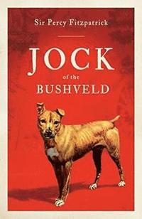 bokomslag Jock of the Bushveld