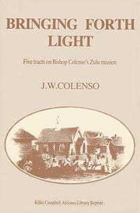 bokomslag Bringing Forth Light Book 4