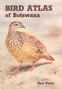 bokomslag Bird Atlas of Botswana