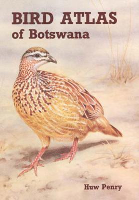 bokomslag Bird Atlas of Botswana