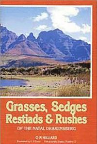 bokomslag Grasses, Sedges, Restiads and Rushes of the Natal Drakensberg