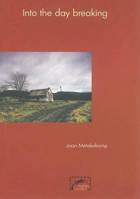 Joan Metelerkamp - Into the Day Breaking, Häftad
