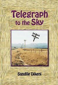 bokomslag Telegraph to the Sky