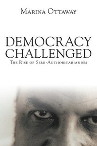 bokomslag Democracy Challenged