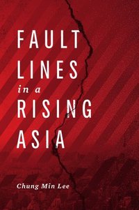 bokomslag Fault Lines in a Rising Asia