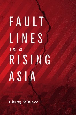 bokomslag Fault Lines in a Rising Asia