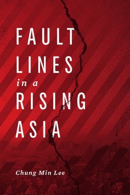 bokomslag Fault Lines in a Rising Asia