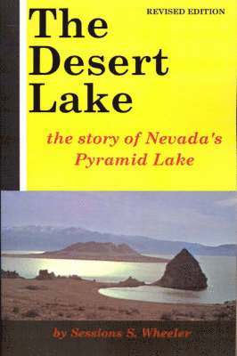 bokomslag Desert Lake