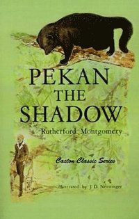 bokomslag Pekan the Shadow