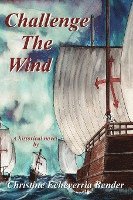 Challenge The Wind 1