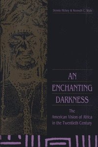 bokomslag An Enchanting Darkness
