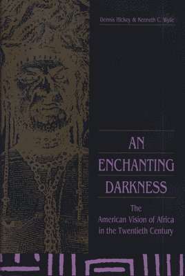bokomslag An Enchanting Darkness