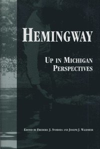 bokomslag Hemingway: Up in Michigan Perspectives