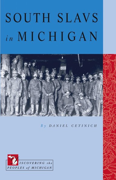 Daniel Cetinich - South Slavs in Michigan, Häftad