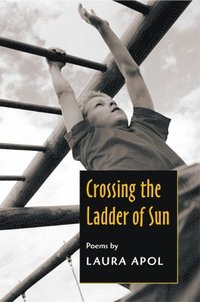 bokomslag Crossing the Ladder of Sun