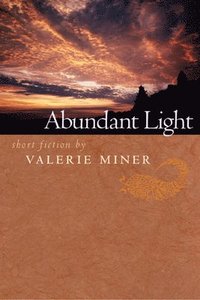 bokomslag Abundant Light: Short Fiction