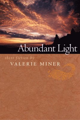 bokomslag Abundant Light: Short Fiction