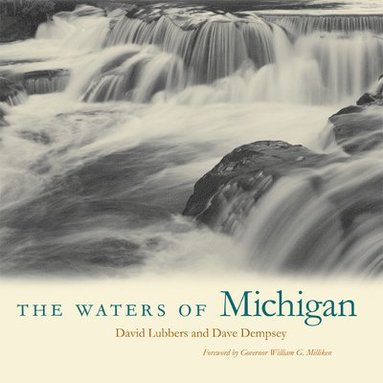 bokomslag The Waters of Michigan