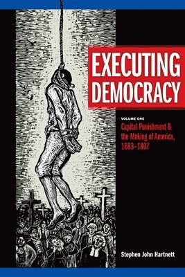 bokomslag Executing Democracy