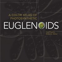 bokomslag A Color Atlas of Photosynthetic Euglenoids