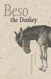 bokomslag Beso the Donkey