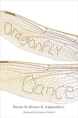 bokomslag Dragonfly Dance