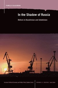 bokomslag In the Shadow of Russia: Reform in Kazakahstan and Uzbekistan