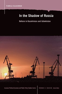 bokomslag In the Shadow of Russia: Reform in Kazakahstan and Uzbekistan