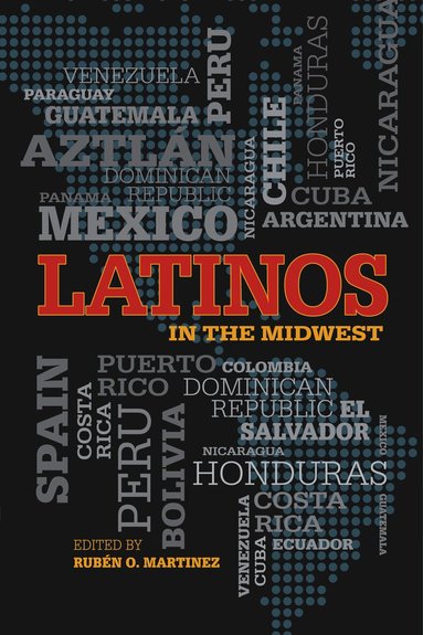 Rubén O. Martinez - Latinos in the Midwest, Häftad