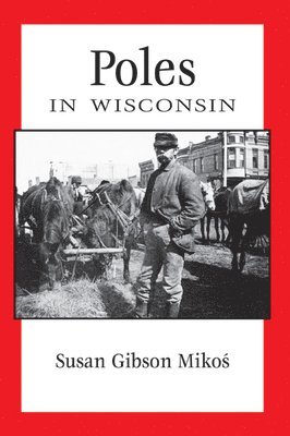 bokomslag Poles in Wisconsin