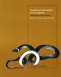bokomslag Amphibians and Reptiles of New England