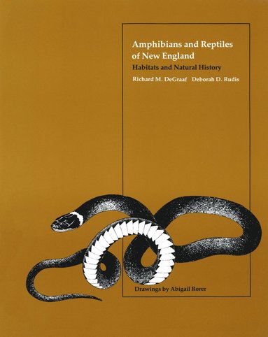 bokomslag Amphibians and Reptiles of New England