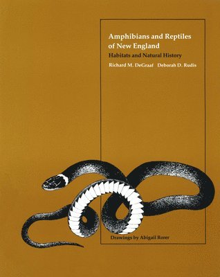 Richard M. DeGraaf, Gretchia M. Witman, Deborah D. Rudis, Richard M DeGraaf, Deborah D Rudis - Amphibians and Reptiles of New England, Häftad