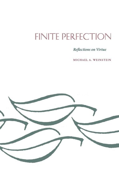Michael A. Weinstein - Finite Perfection, Häftad