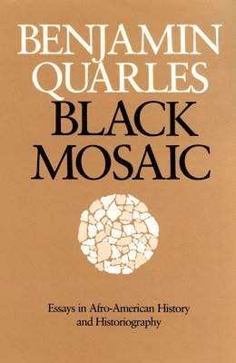 bokomslag Black Mosaic