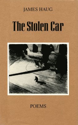 The Stolen Car 1