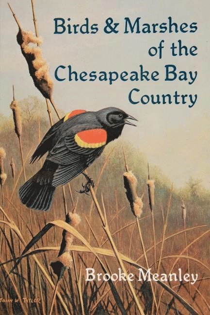 Birds & Marshes of the Chesapeake Bay Country 1