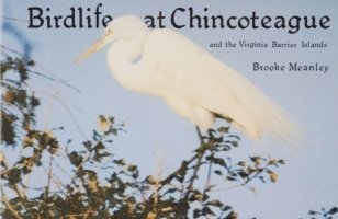 bokomslag Birdlife at Chincoteague and the Virginia Barrier Islands