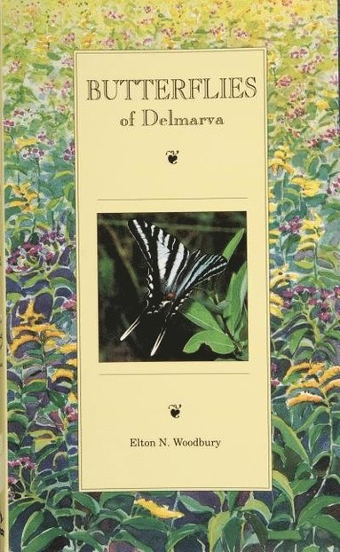 bokomslag Butterflies of Delmarva