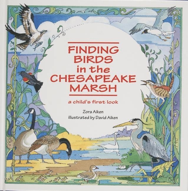 Finding Birds in the Chesapeake Marsh 1